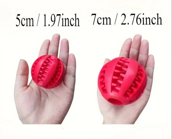 1PC Dog Ball Toys For Small Dogs Interactive Elasticity Puppy Chew Toy Tooth Cleaning Rubber Food Ball Toy Pet Stuff Accessories Au bout du Sentier